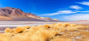 Piedras Rojas