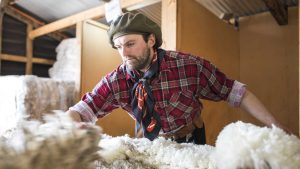 Itinerario de 2 días en Estancia Cerro Negro: Aventura austral
