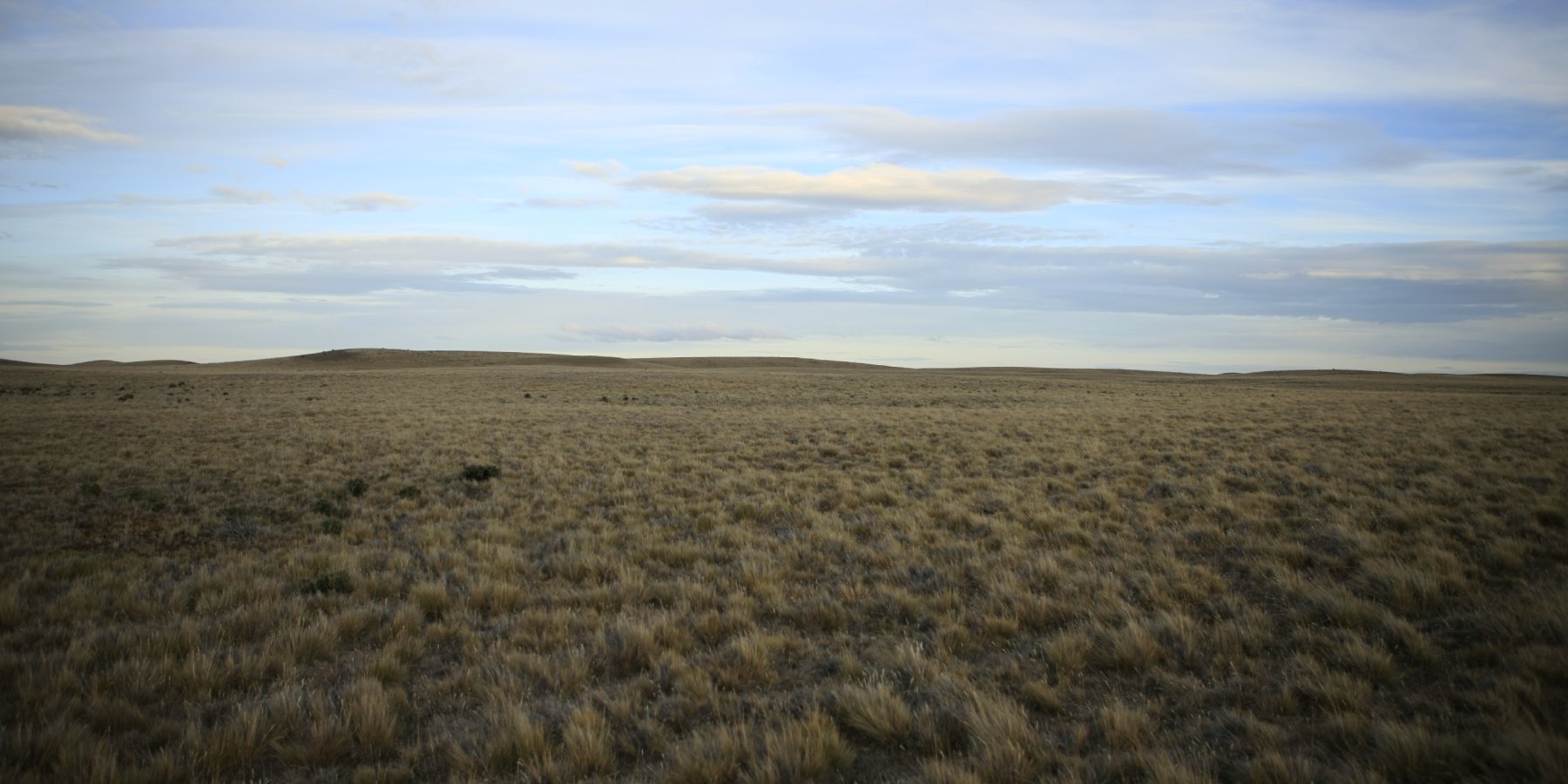 Llegada a Estancia Leona Amarga