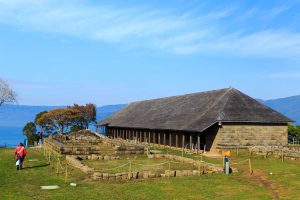 Itinerario en Niebla: historia y selva valdiviana