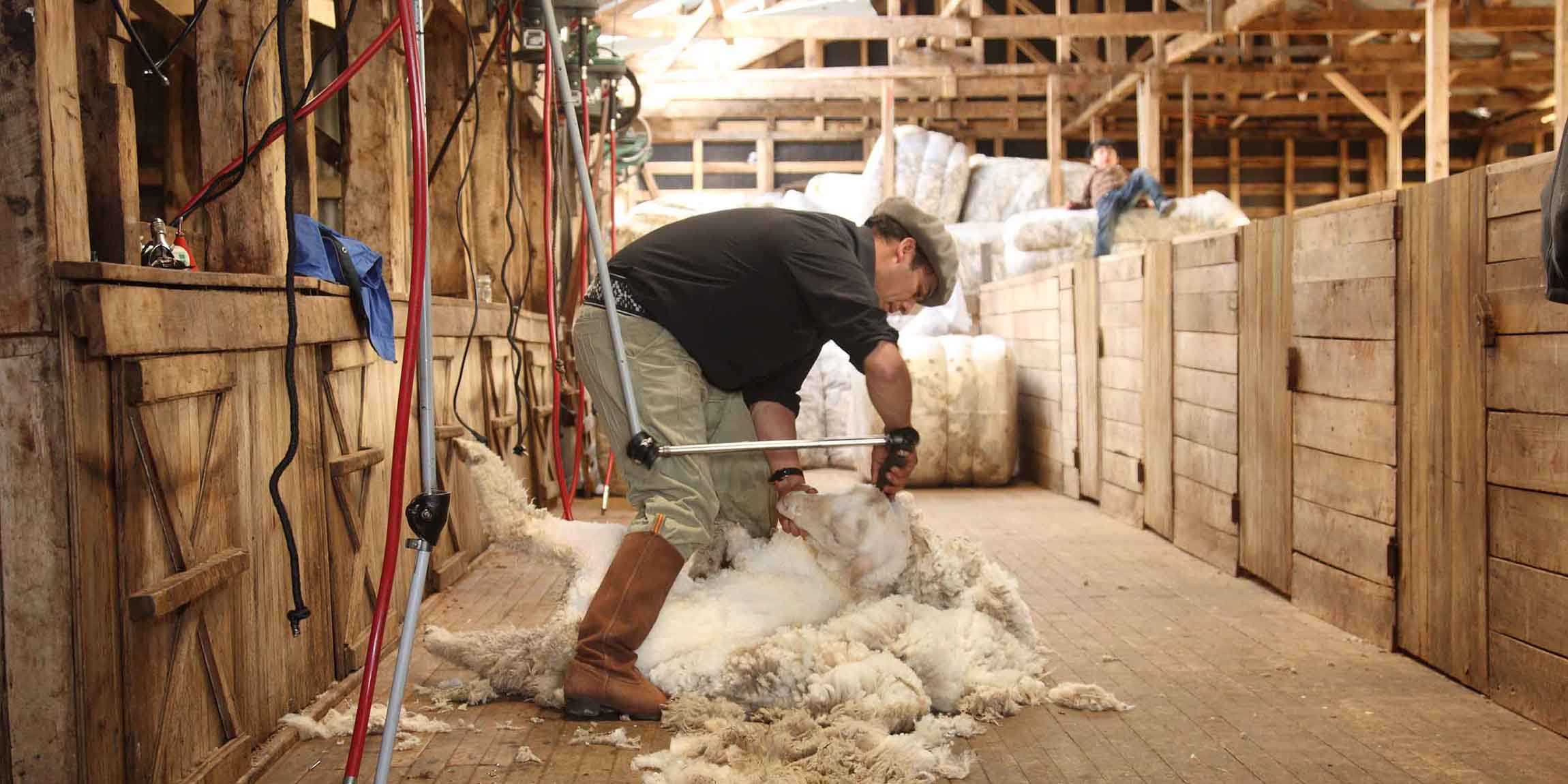 Llegada a Magallanes y ruta a Cerro Negro