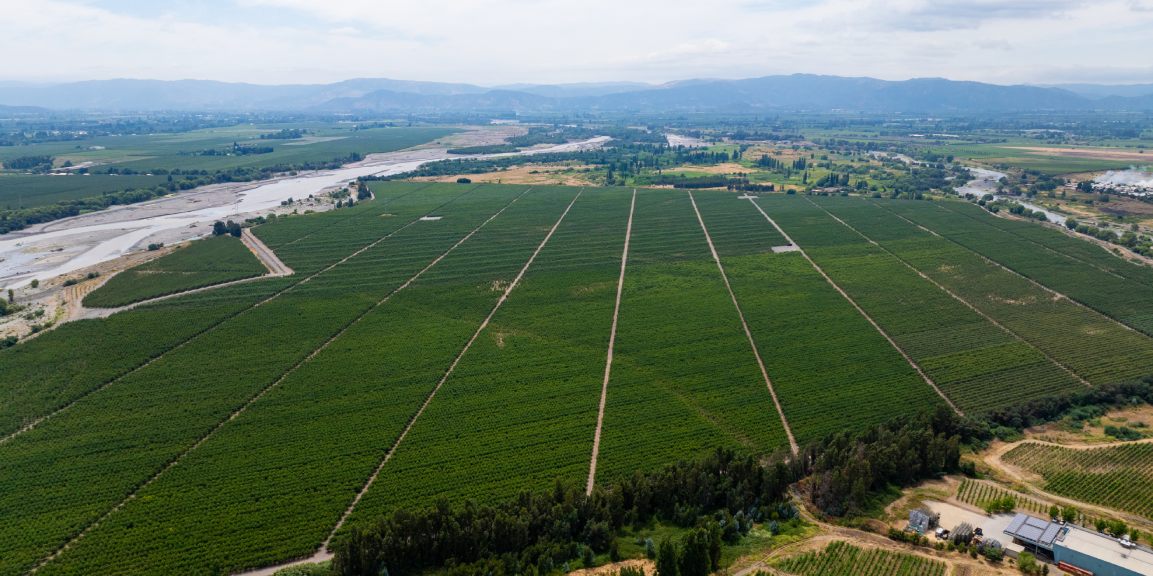 Siete Tazas y el Valle de Curicó