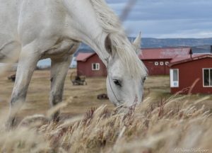 Estancia La Península