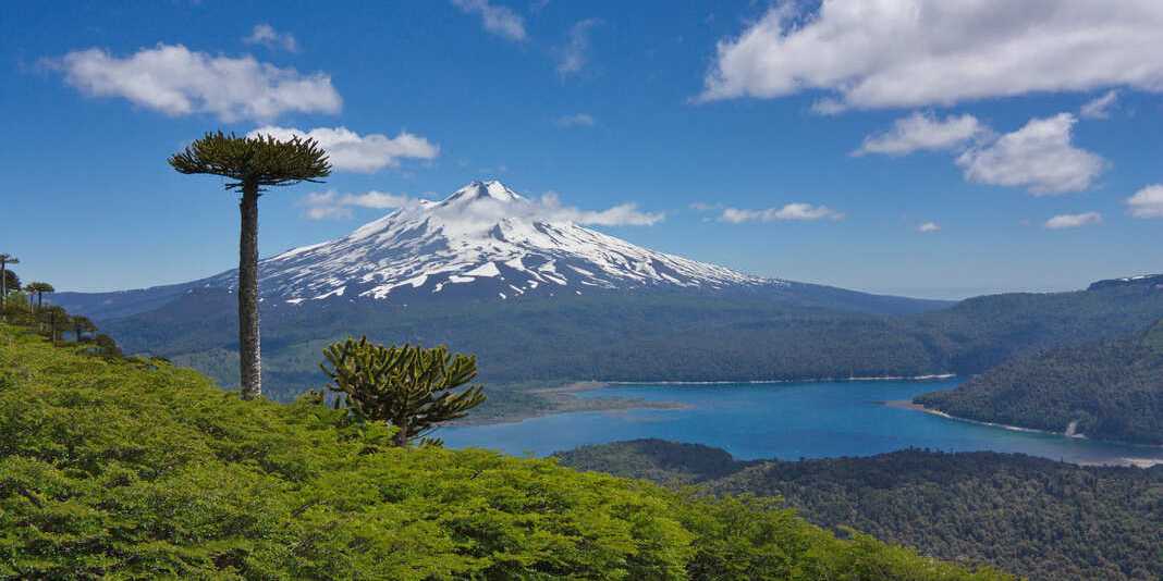 Ausflug zum Nationalpark Conguillío 
