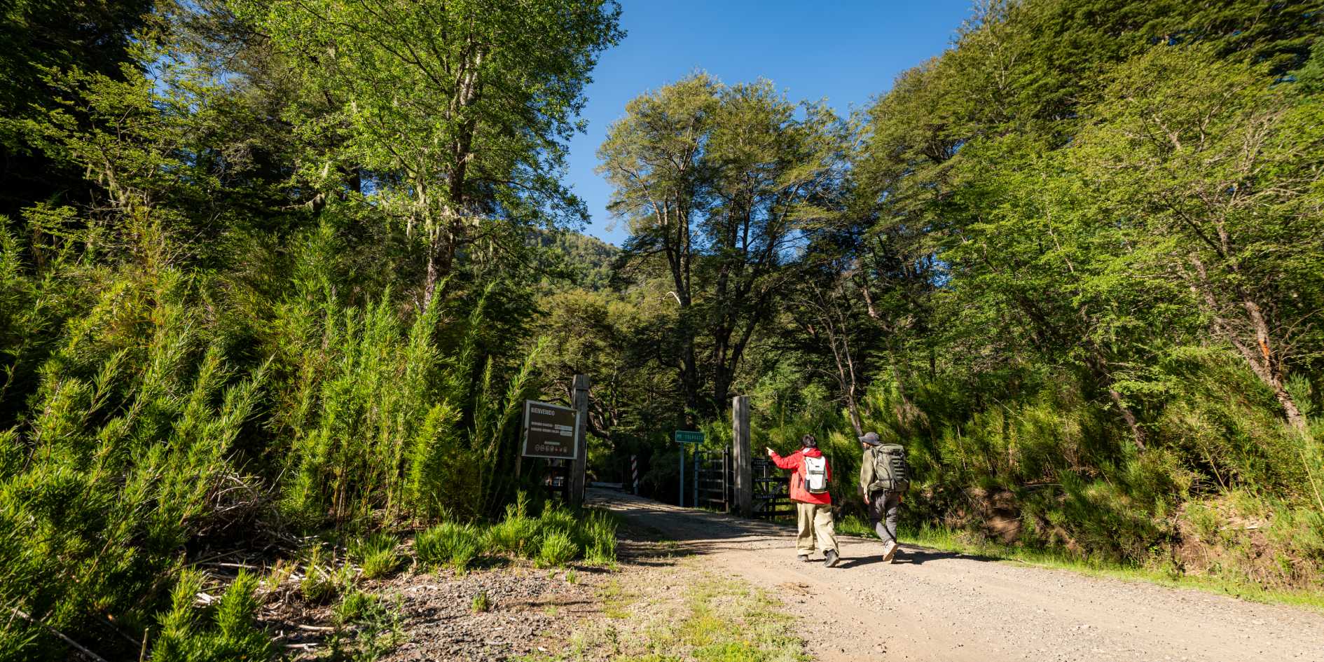 Senderos del Parque Nacional Tolhuaca