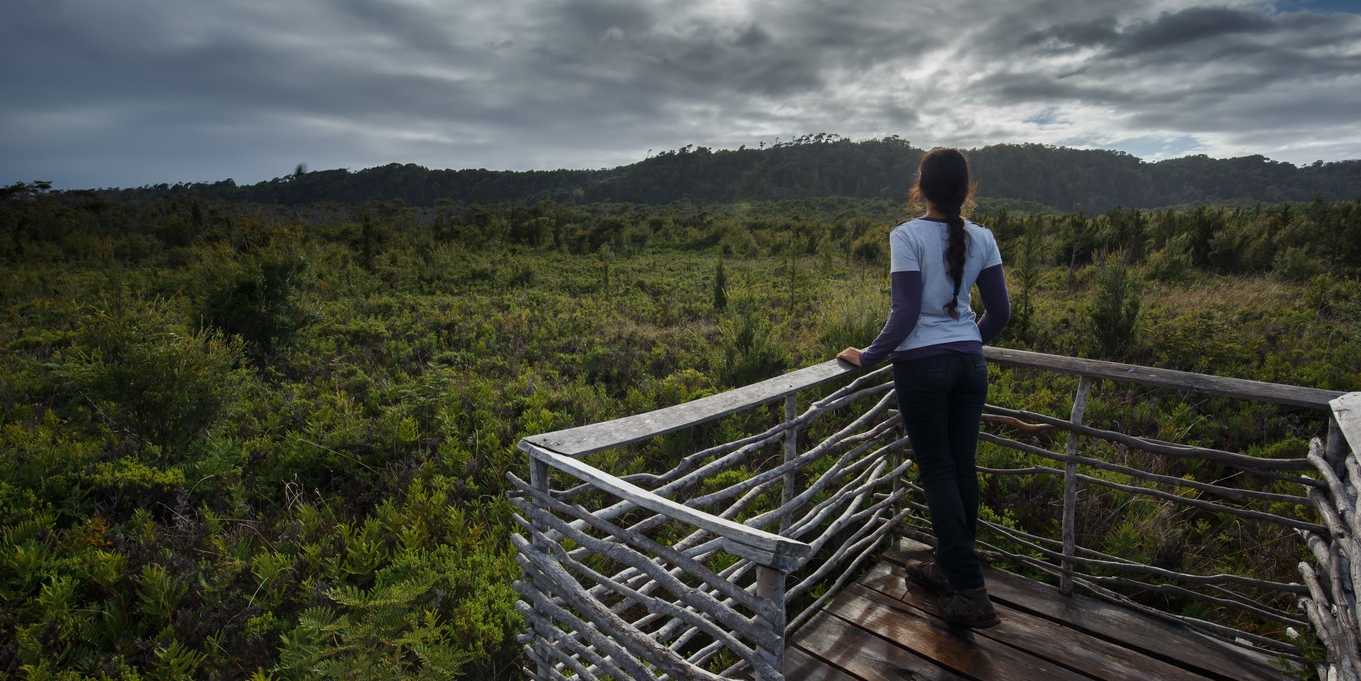 Bosques, dunas y costas del Pacífico