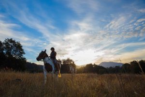 Explora los parques y reservas naturales de Chile
