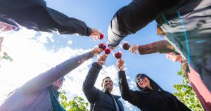 ¡Vendimia 2026 en Chile! La fiesta dedicada exclusivamente al vino