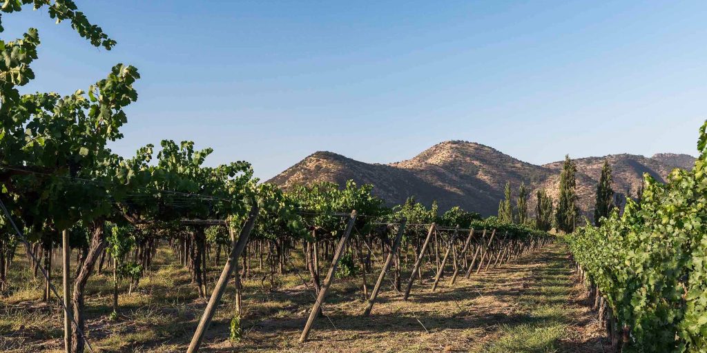 Fiesta de la Vendimia Isla de Maipo 2026