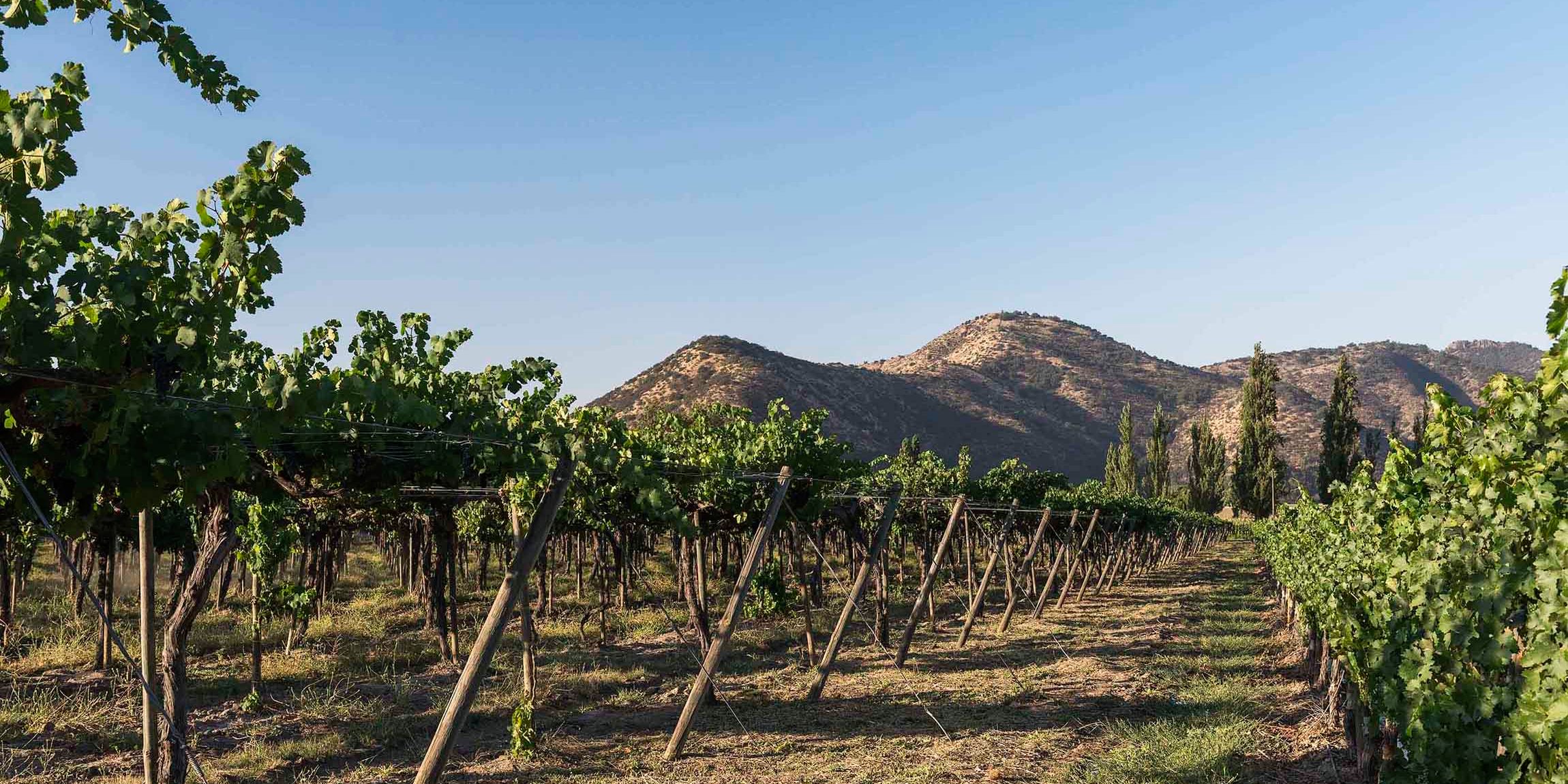 Parque Nacional Río Clarillo y Viña Concha y Toro