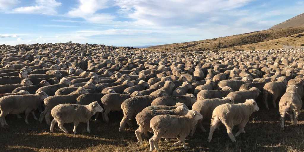 Llegada a la estancia