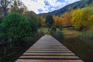 Araucanía Lacustre: Senderos, volcanes y aventura