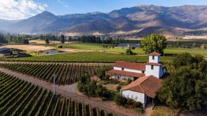 Enoturismo en Chile: 5 valles imperdibles para conocer el vino nacional