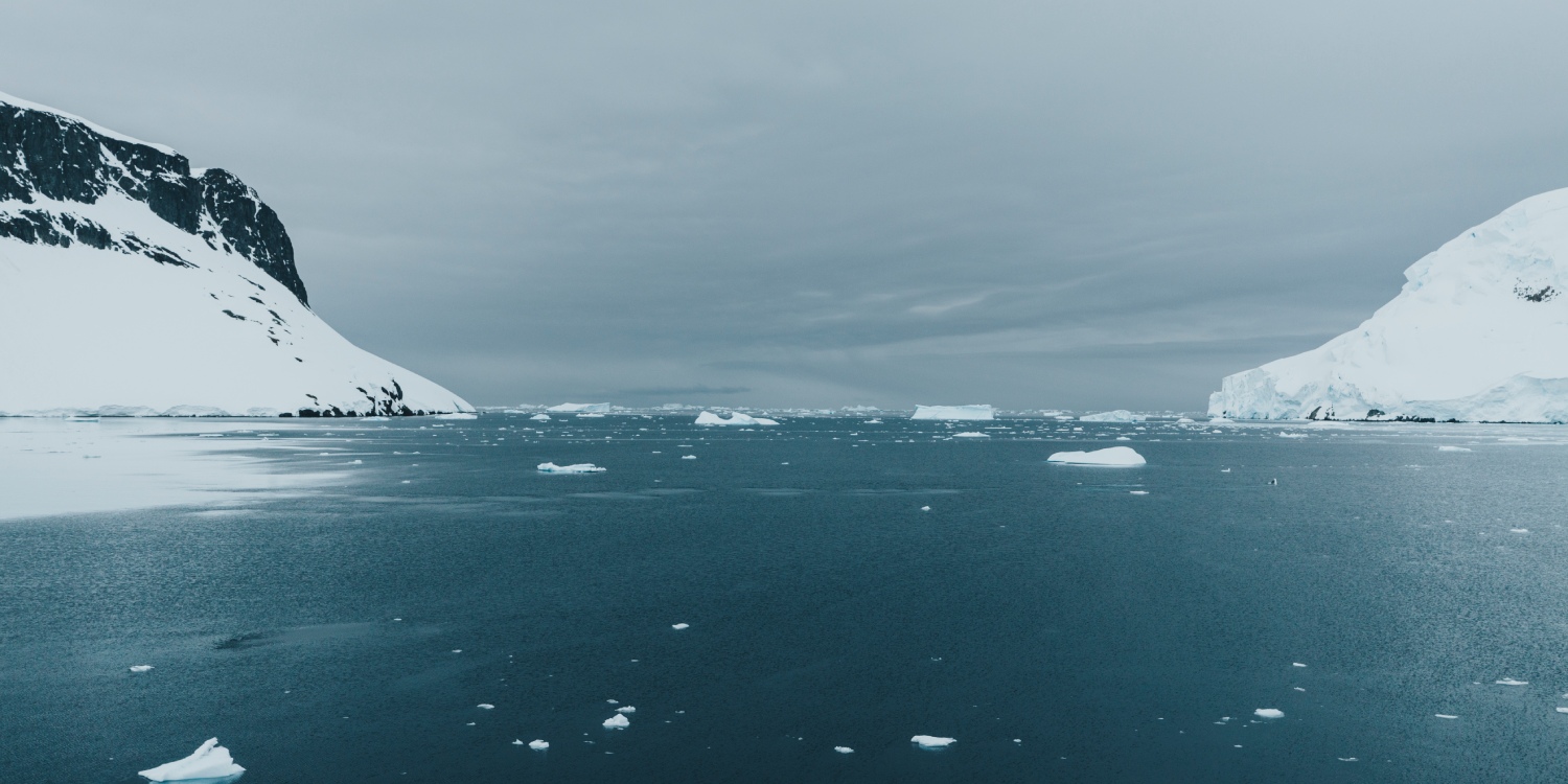 Bases, fauna y caminatas en Isla Rey Jorge