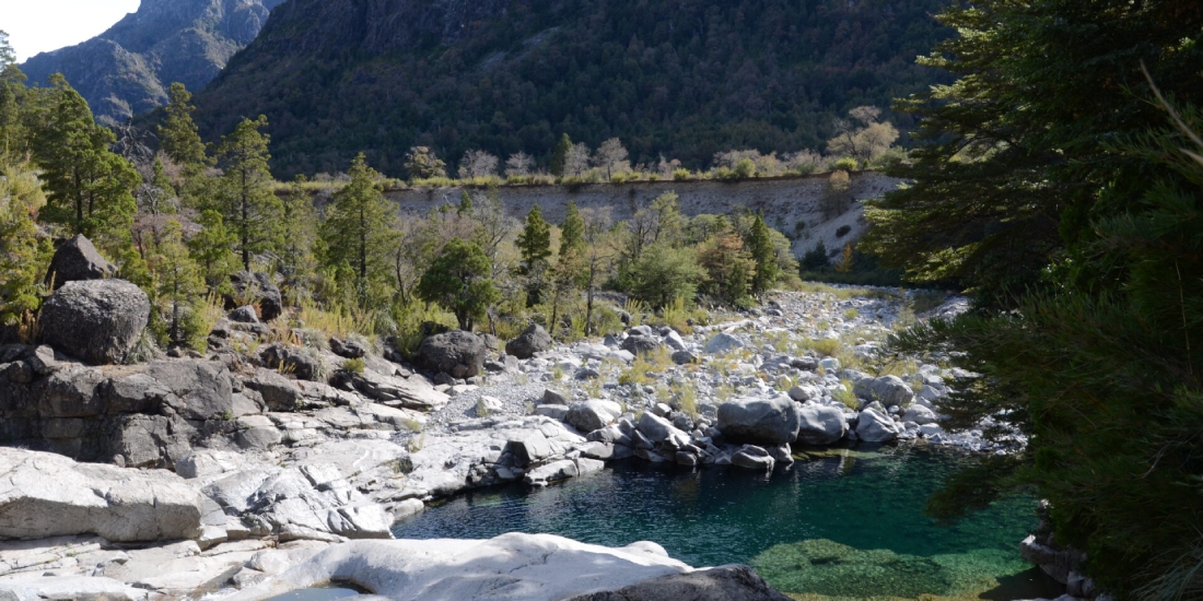 Naturaleza y aventura en la Reserva Nacional Ñuble 