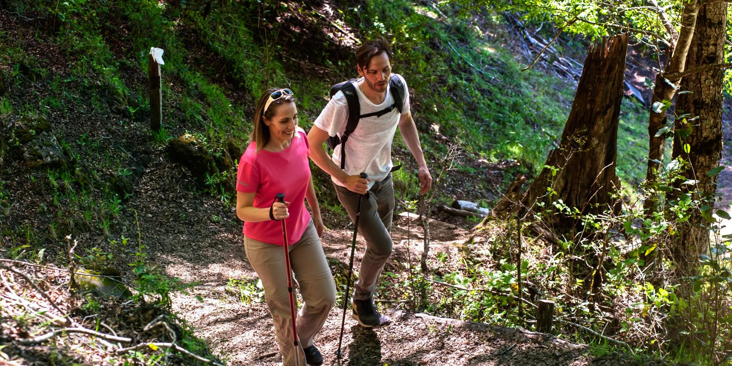 Rutas escénicas y lagunas cordilleranas en Liquiñe 