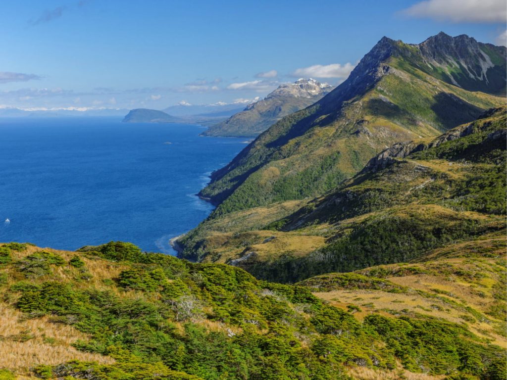 Fotografía: Guy Wenborne