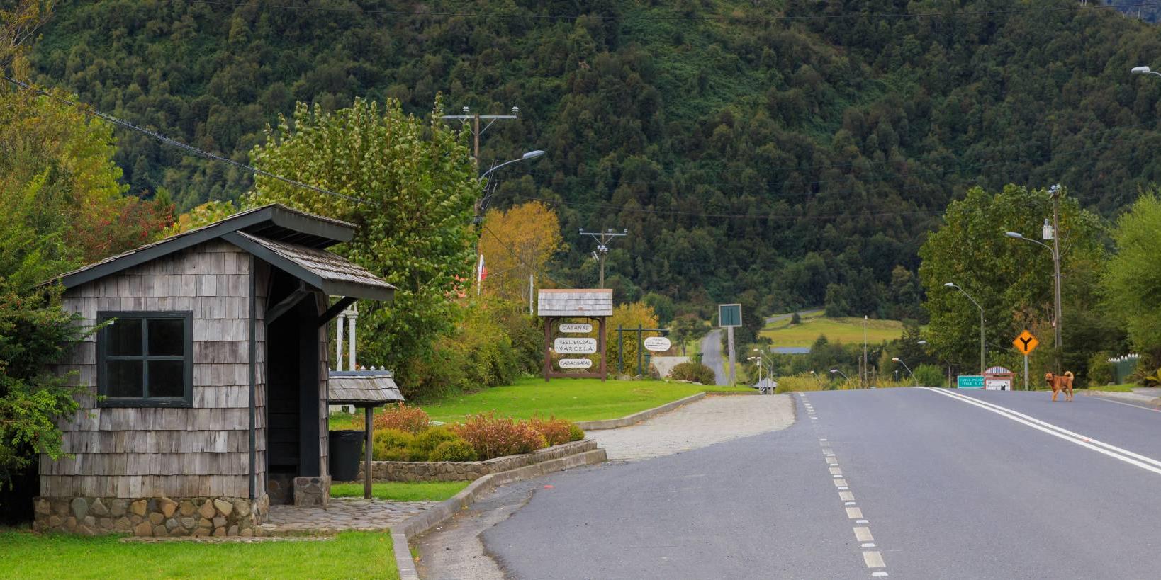 Parc national Pumalín
