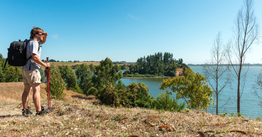 Forêts, rivières et plages : panoramas et destinations incontournables de l’Araucanie en été