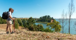 Bosques, ríos y playas: Panoramas y destinos imperdibles de La Araucanía en verano