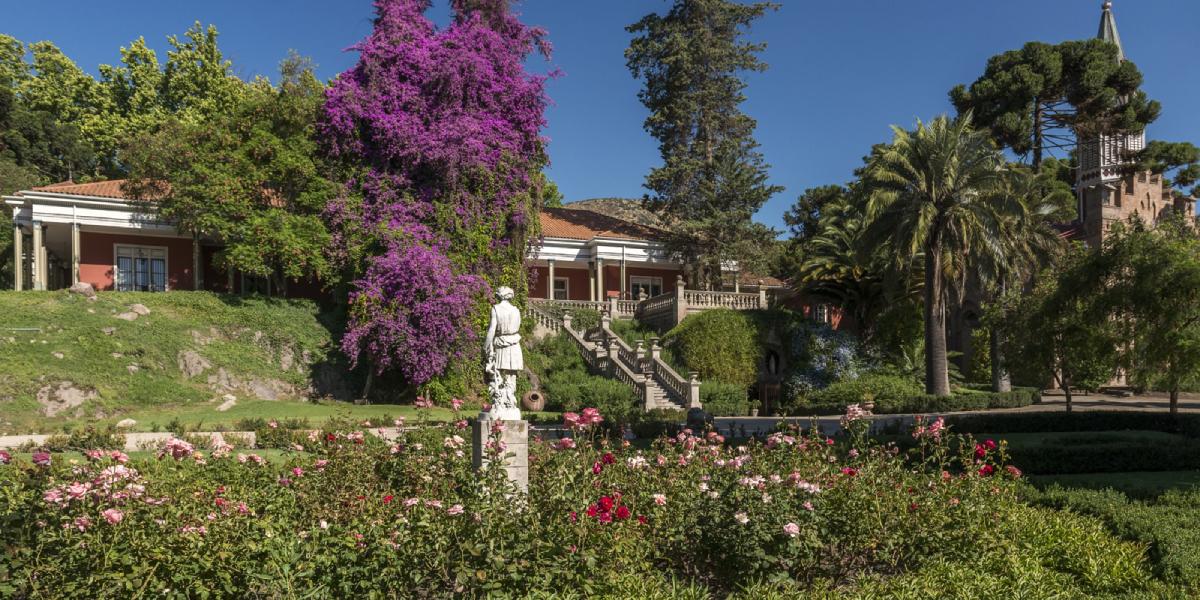 El magnífico vino chileno