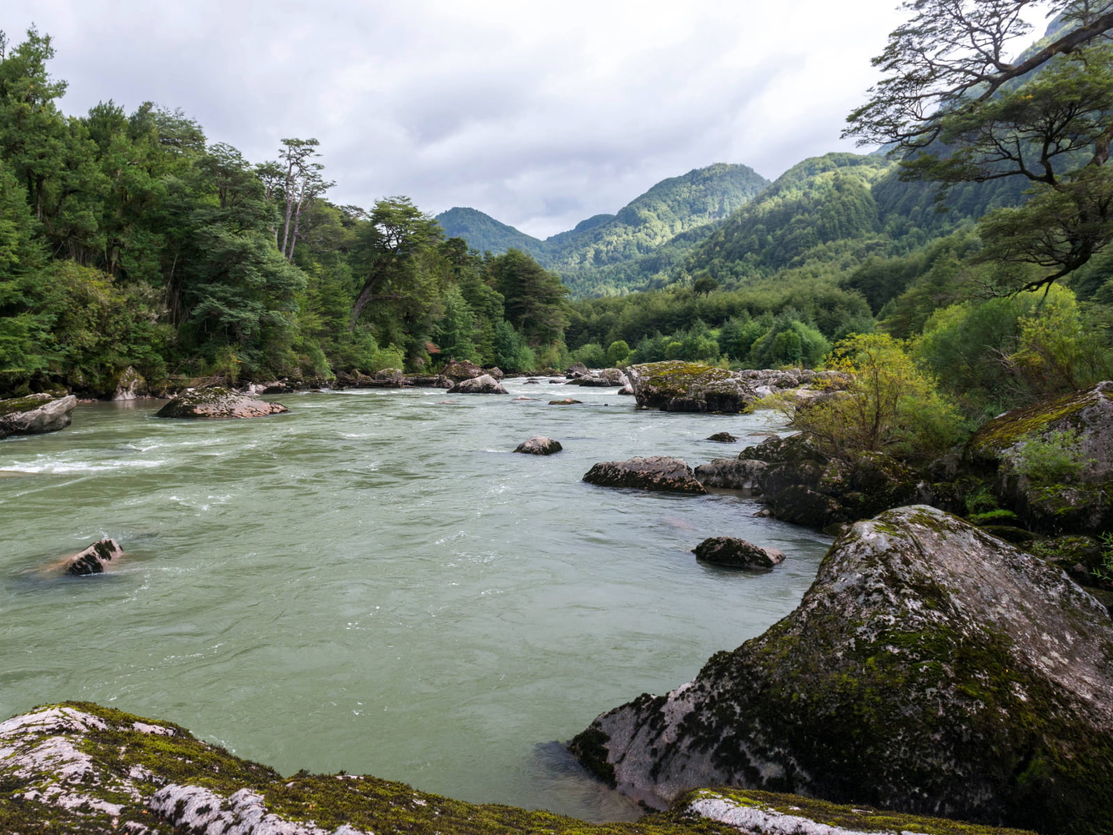 Descubriendo la Patagonia chilena: Carretera Austral y Coyhaique