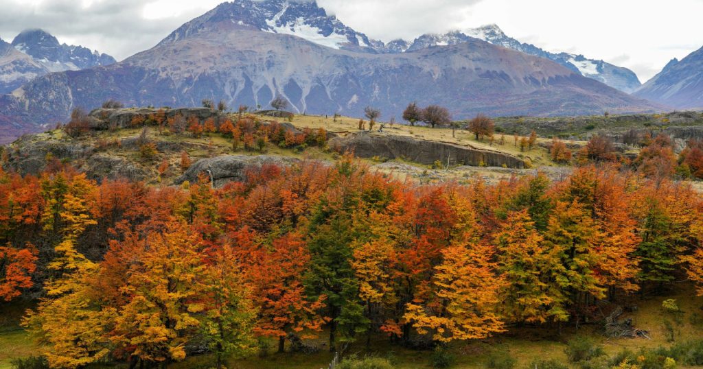 Le plus bel automne d’Amérique du Sud se trouve au Chili