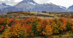 El otoño más bonito de Sudamérica está en Chile