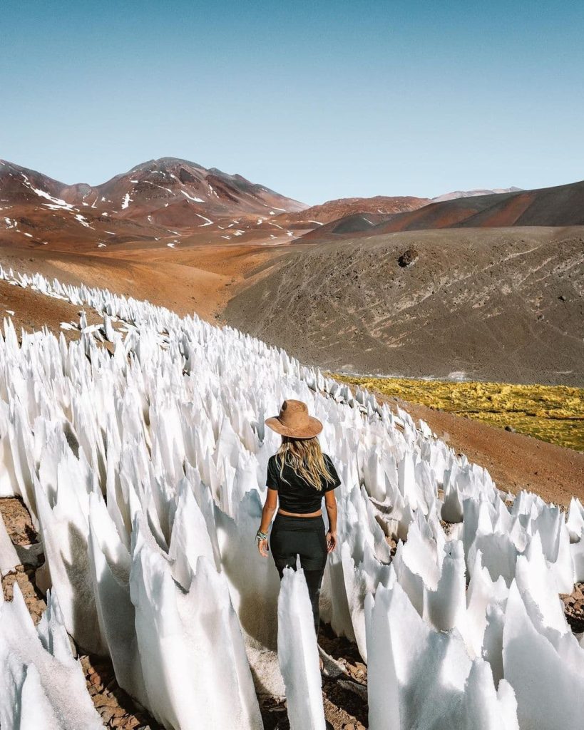 Discover The National Parks Of Northern Chile Chile Travel Discover The National Parks Of Northern Chile Chile Travel
