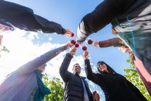 Aromas de otoño: Las vendimias más destacadas de Chile durante abril