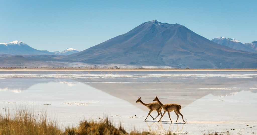 Gipfel über 6.000 m und jahrtausendealte Kultur: Das Atacama, das Sie überraschen wird