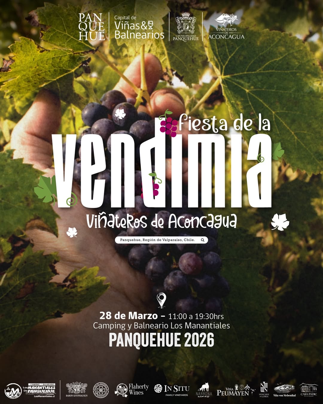 Vendimia Valle del Aconcagua 2026