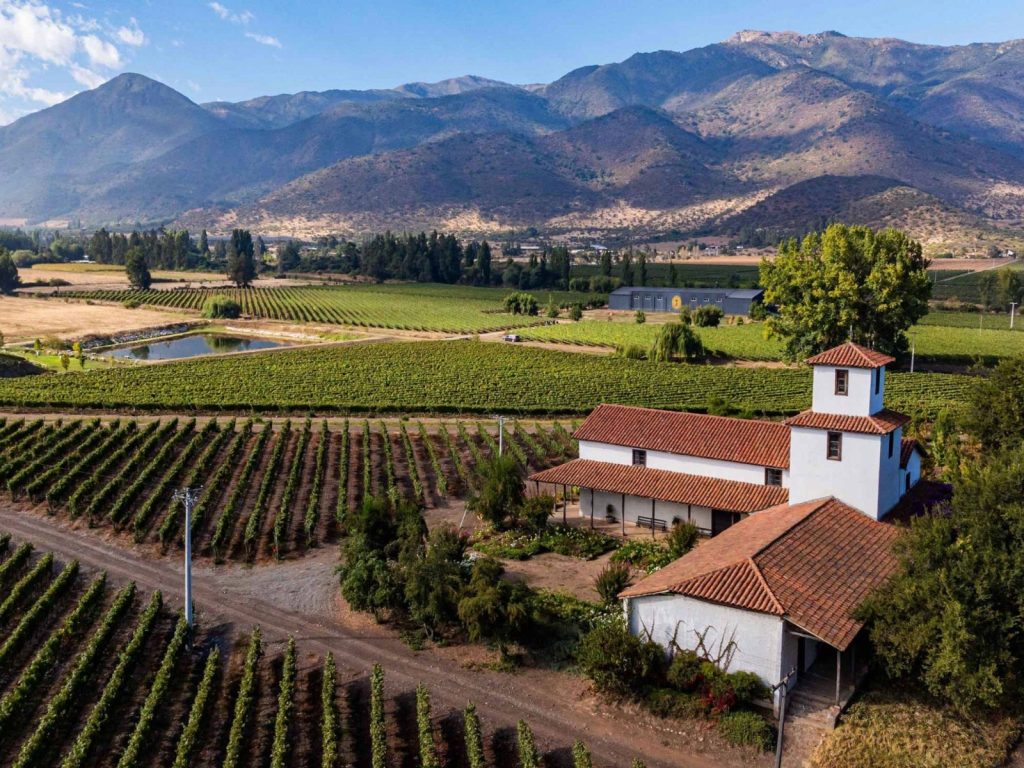 Campo agrícola con hileras paralelas de plantaciones de vides (viñedos) que crean líneas de fuga hacia el fondo. Paisaje verde y rural, rodeado por lomas o cordones montañosos. Ambiente de exterior con luz de día.