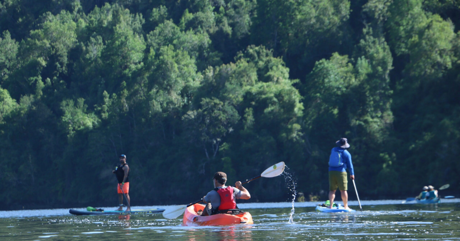 Nature et kayak entre zones humides et rivières