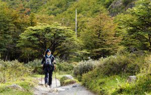 "Just back from Chile": Las apariciones de nuestro país en la prensa internacional