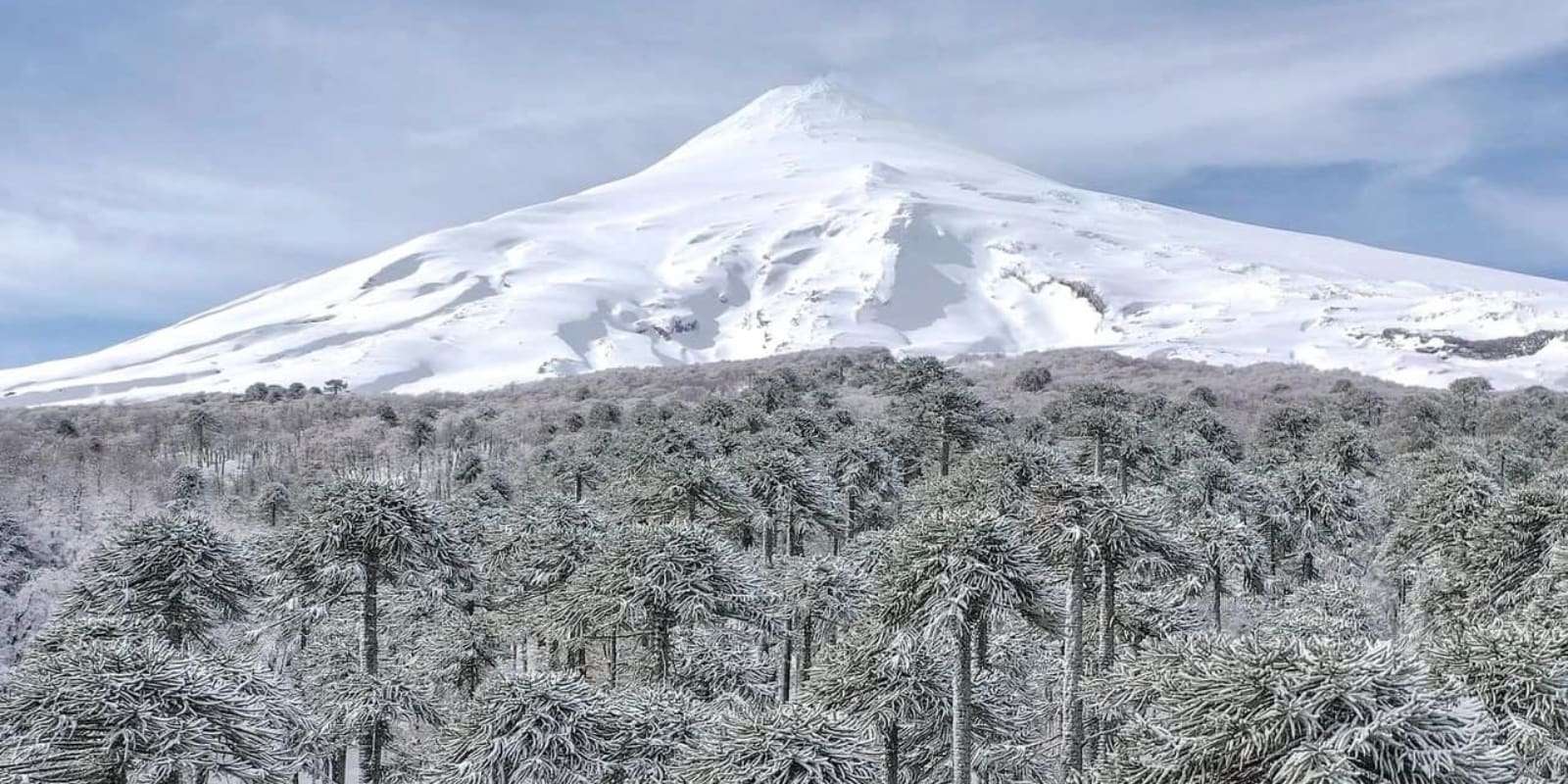 Nature volcanique et au revoir à Pucón