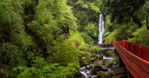 5 jours de parcs et thermes depuis Valdivia