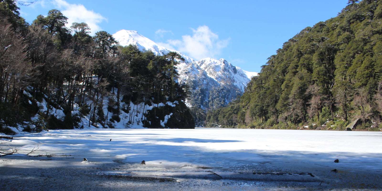 Trekking dans le parc national Huerquehue
