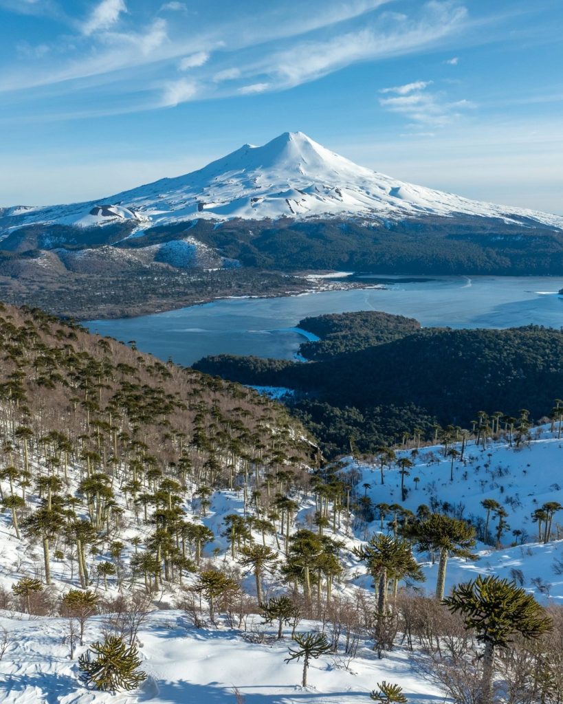 Panoramablick auf den schneebedeckten Vulkan Llaima hinter einem schneebedeckten Tal und mit Araukarien bewachsenen Hängen im Nationalpark Conguillío.