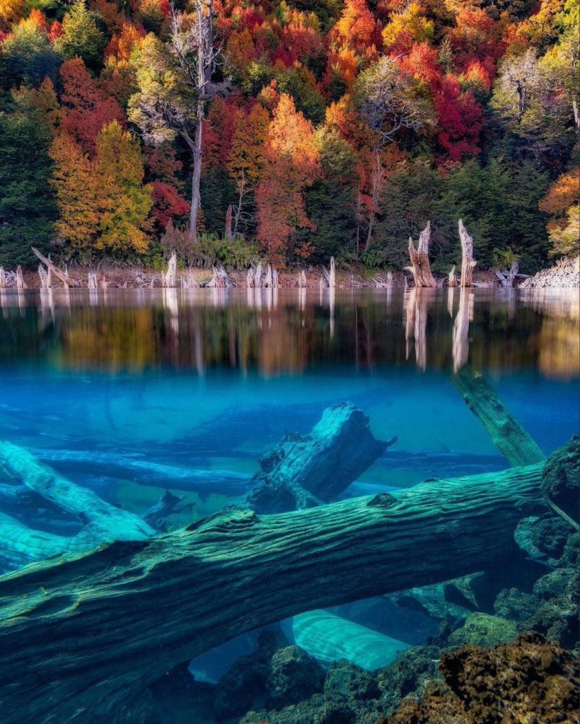 Baumstämme, die im kristallklaren, türkisfarbenen Wasser der Laguna Arcoíris versunken sind und einen farbenfrohen Urwald im Nationalpark Conguillío widerspiegeln.