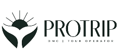 Protrip DMC