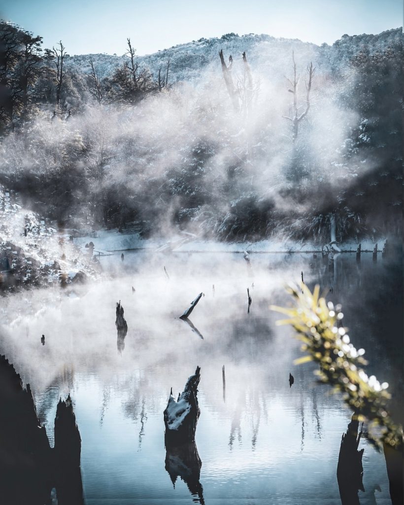 Trockene Baumstämme, die aus einer von mystischem winterlichem Morgennebel bedeckten Lagune im Nationalpark Conguillío ragen.
