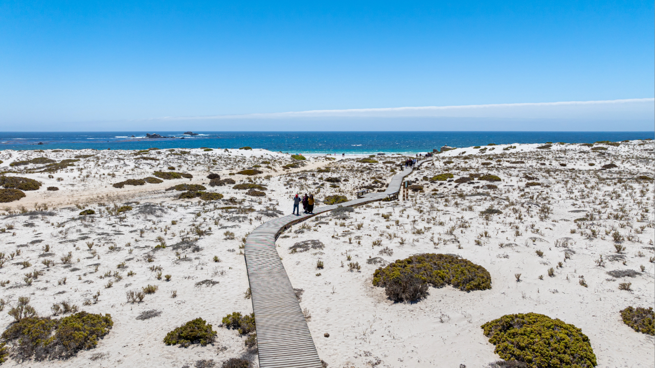 Primer encuentro con la costa de Atacama