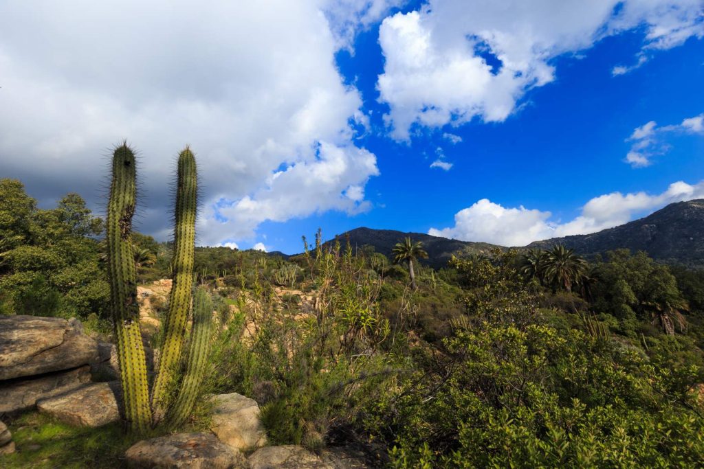 7 excursiones naturales cerca de Santiago que puedes realizar en un día