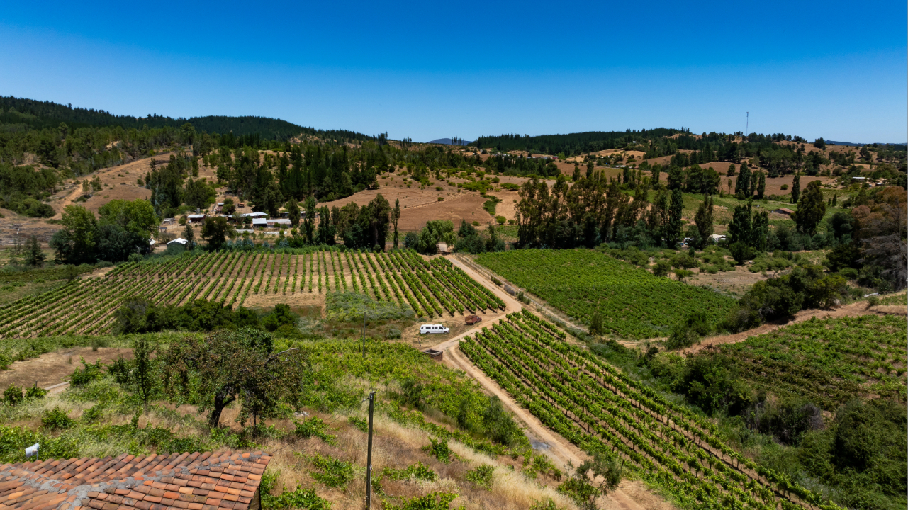 Valle del Itata: patrimonio rural y tradición vitivinícola