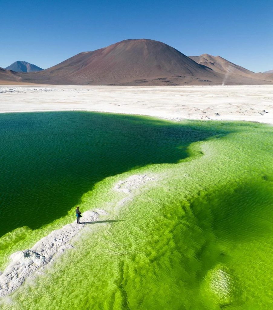 Salar de Gorbea