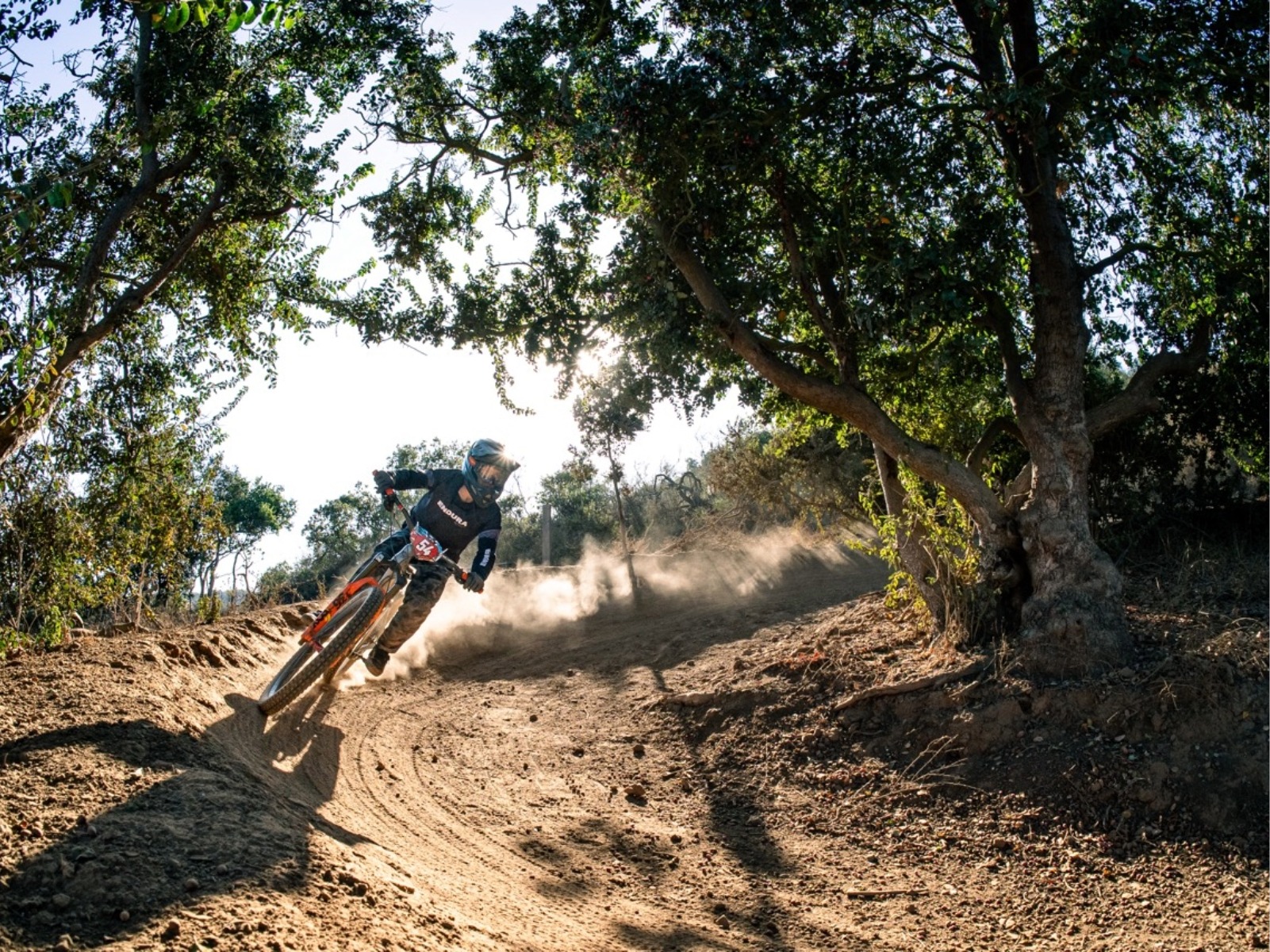 Ciclista de mountain bike a descer a grande velocidade por um trilho de terra entre árvores, levantando uma nuvem de pó num dos circuitos de downhill da Região de Valparaíso.