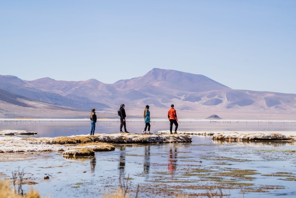 Salar de Huasco.