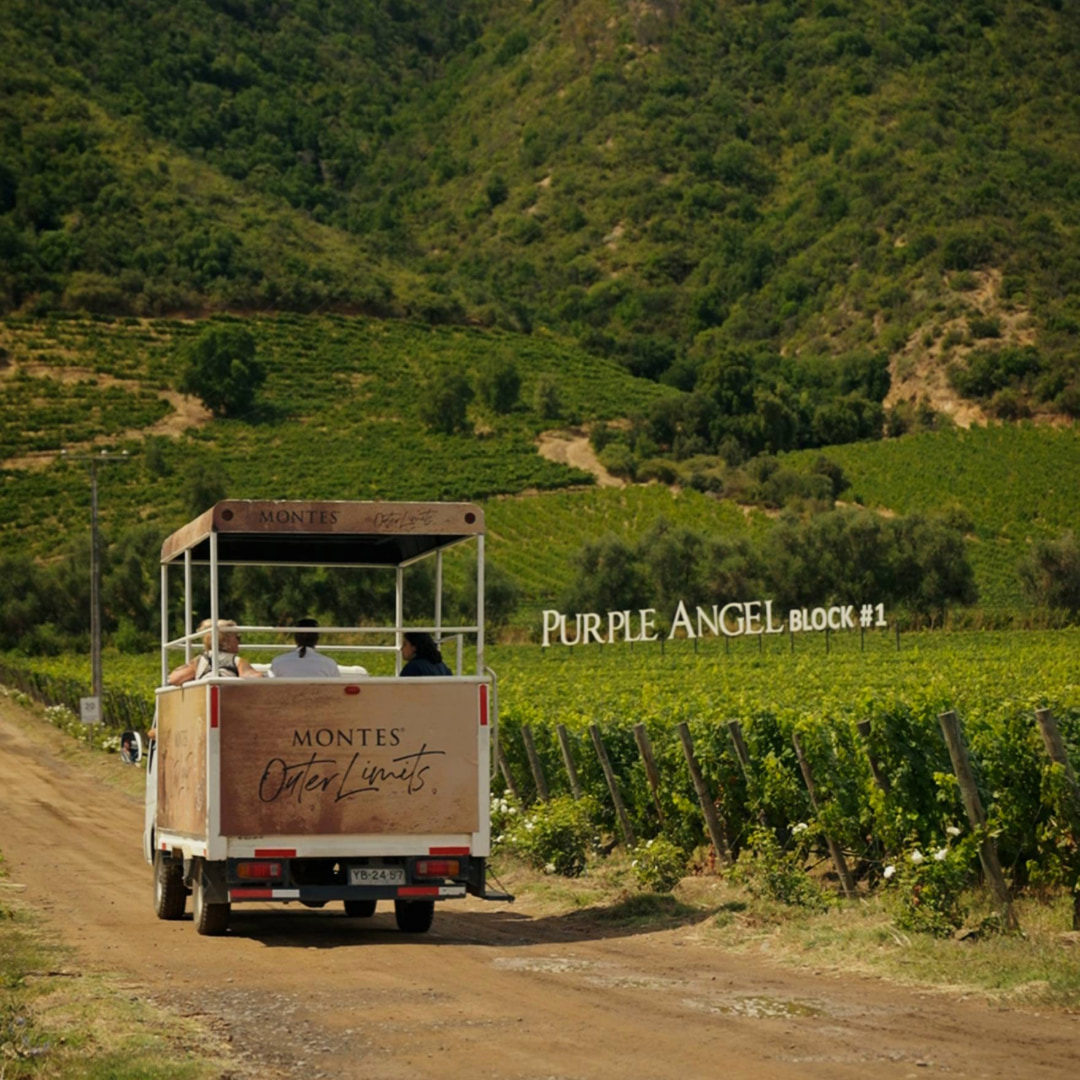 Véhicule touristique de Viña Montes parcourant un chemin de terre entre les vignobles à côté du panneau « Purple Angel Block #1 », avec des collines boisées en arrière-plan, l’une des destinations secrètes du Chili dans la Vallée de Colchagua.