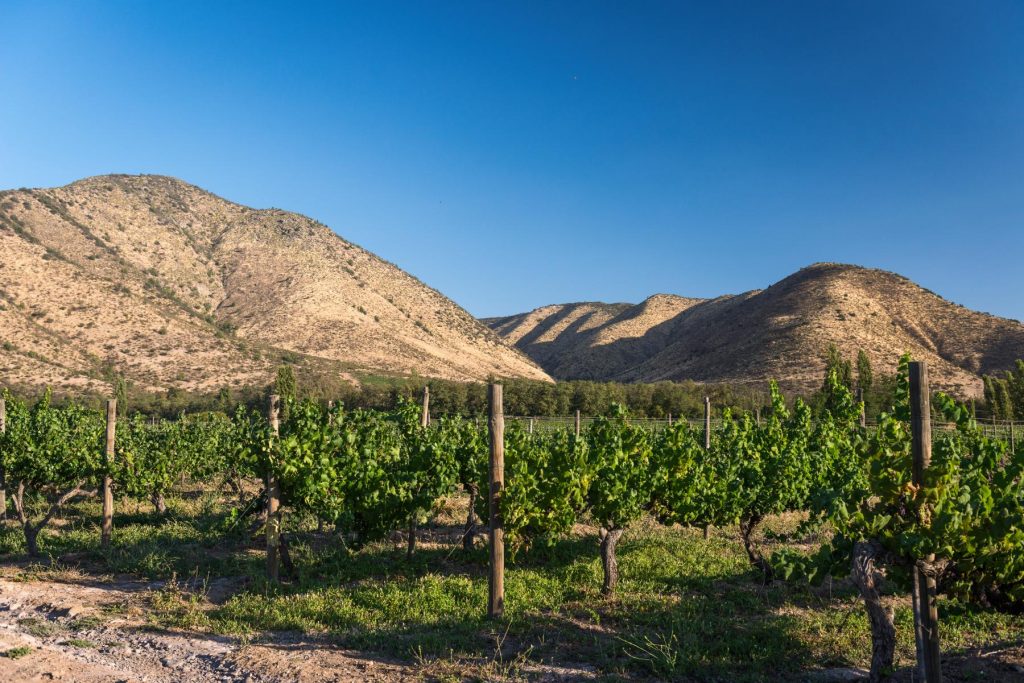 ¡Santiago será sede de The World’s 50 Best Vineyards 2026!